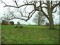 Eastry picnic site.