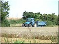 Farmland at Wakering Common