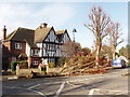 Tree felled by storm, West Acton