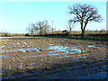 Farmland, Wharf Road, Wroughton