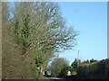 Road into Middlemarsh village