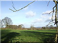 Pasture near Madley