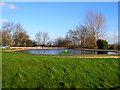 Crowborough Centenary Lake