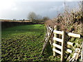 Field near Lydford