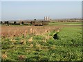 View across farmland