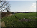 Farmland near Lower Barnsley Farm