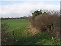 ST9605 : Farmland near Hemsworth by Brian Ironside