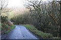 Roadside woodland by North Boyndlie Lodge