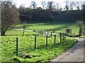 Pasture at Upper Garrington farm.