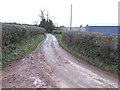 Lane approaching Whitelow Farm