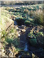 Brook flowing down from the moor near Darwen