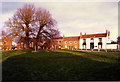 Trees on Market Hill, Hedon