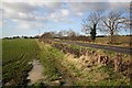 Flailed Hedge