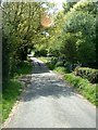 Privett Road  heading High Cross, OS marked copse to right