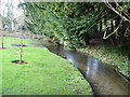 Stream at the bottom of the garden