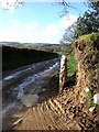 Gatepost on Bridestowe Footpath 5