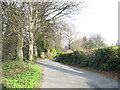 The driveway leading to Llwyn y Brain and Seiont Manor .