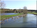 River Windrush in flood