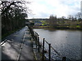 Stubbing Great Pond - View towards Malthouse Lane