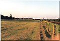 Branston pasture and Burton skyline