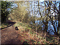 Lakeside Footpath at Fonthill