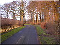 Country lane near Ruston Carr Plantation