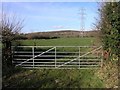 Farm gate and pylons