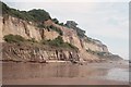 SZ5879 : The cliffs from Luccombe chine to Yellow Ledge by John Hardy