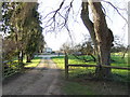 Tree-lined drive to Stonehenge Farm