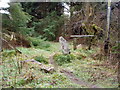 SJ0251 : Former gateposts in the Forest by Eirian Evans