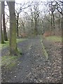 Public footpath in Lower Fell Greave, Bradley, Huddersfield