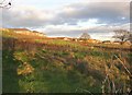 Field off Old Lane, Bradley, Huddersfield