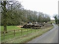 Timber at Dodington Park