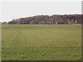 Lower Kingham Hill Cottages