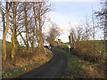 A minor road at Eglingham