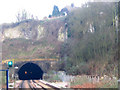 TQ7172 : Higham Tunnel west portal by Stephen Craven
