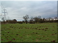 Mole Hills In Pasture Land