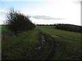 Footpath across hillside near West Harlsey