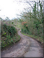 Lane to Bradley Brook