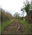 Footpath south of Bradley Brook