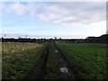 Track towards Fishpool Grange