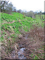 Brook by the Welsh Marches footpath