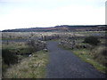 Chapmans Well Nature Reserve