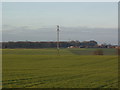 Electricity Pylon near Headley Bar