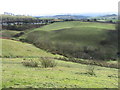 The River Devon valley near Rumbling Bridge