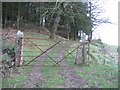 Gate into Moel Evan Forest.