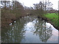 Reflections on the Mells River