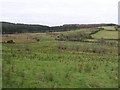 Carn Townland