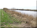 River Trent south of Susworth