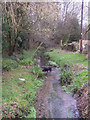 ST9627 : Stream in Swallowcliffe by Maigheach-gheal
